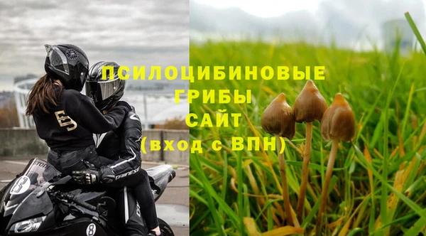 Альфа ПВП Михайловск