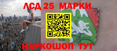 гидропоника Дубна