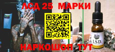 гидропоника Дубна
