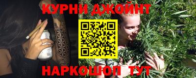 крисы Канаш