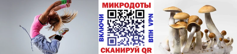 закладки  Майкоп  kraken tor  Псилоцибиновые грибы мухоморы 