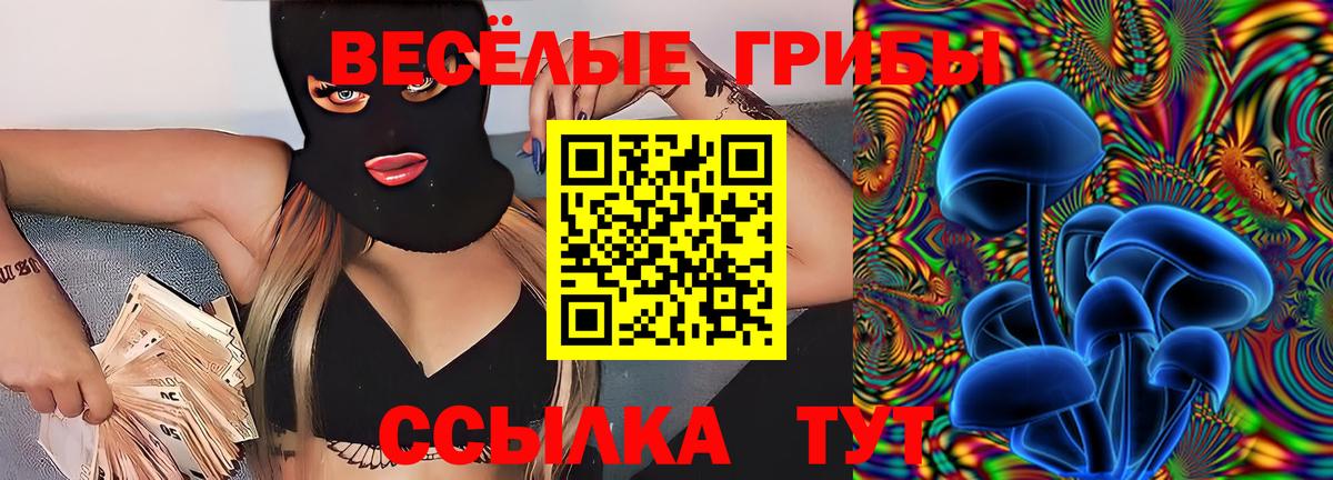 Псилоцибиновые грибы Magic Shrooms  Вход с VPN  Майкоп 