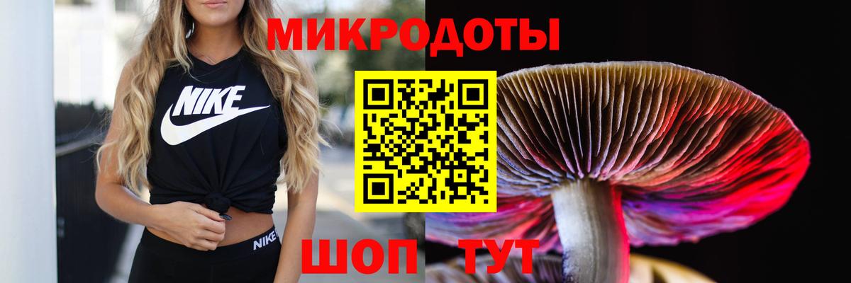 Псилоцибиновые грибы мухоморы Майкоп